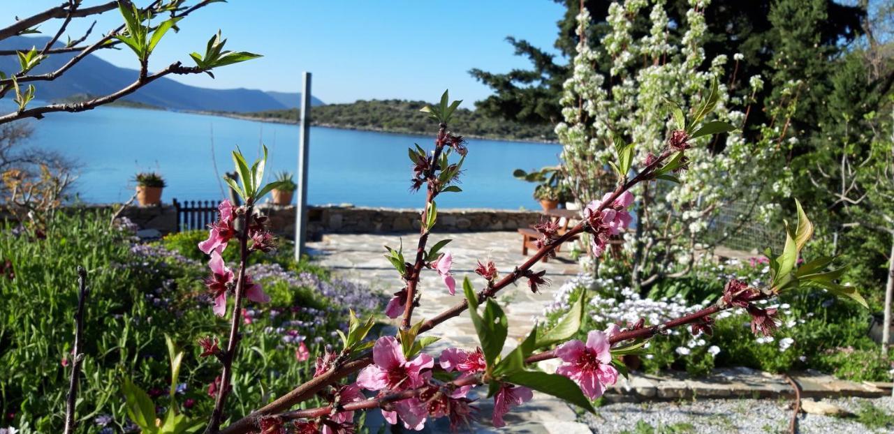 Blueline Guesthouse Agios Dimitrios  Exterior photo